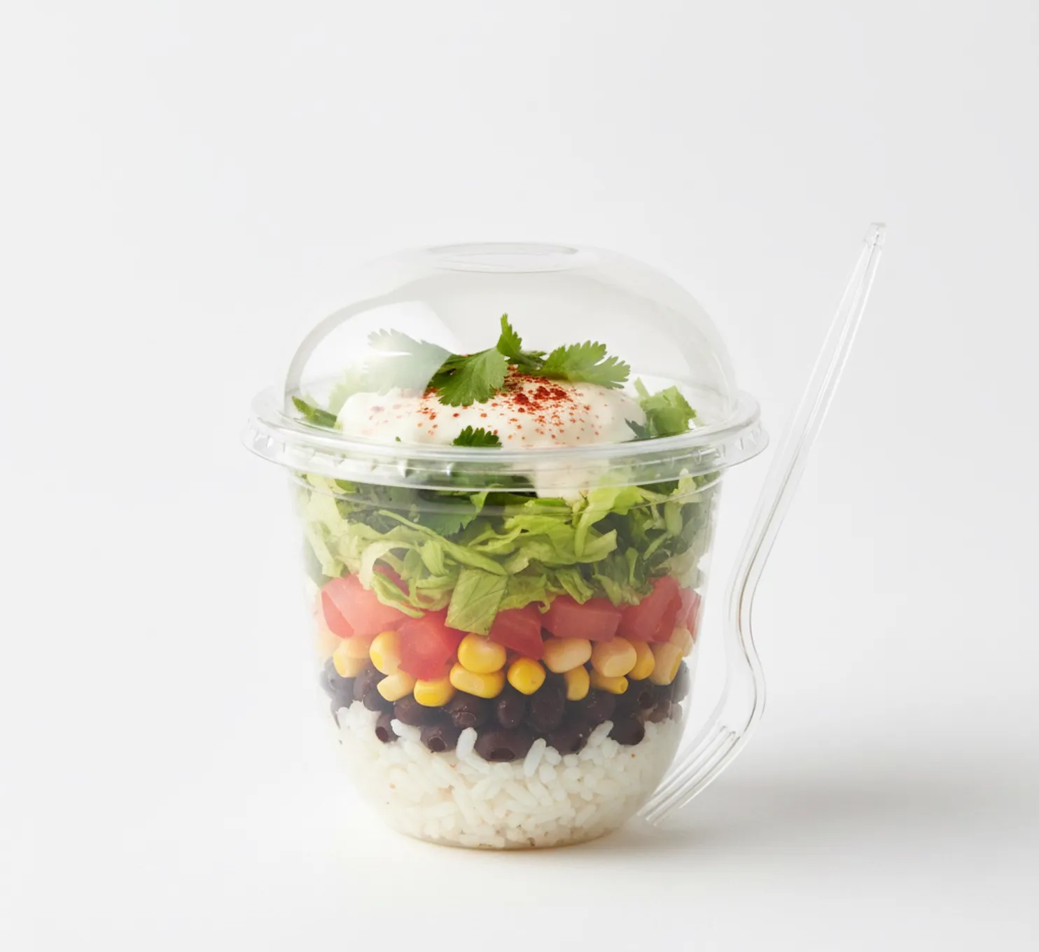 Vegetarian Mexican Salad